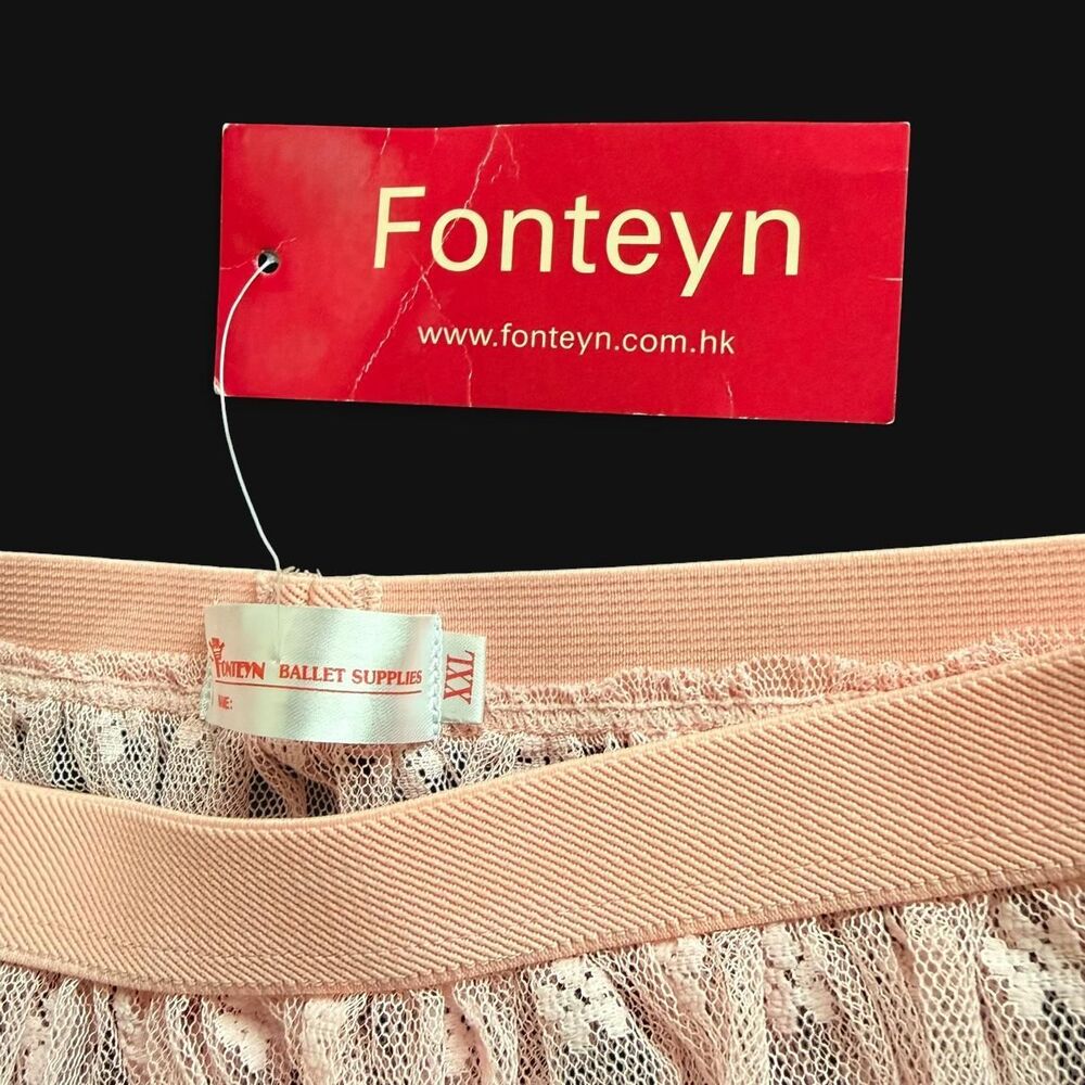 Ballet Tutu Skirt NWT Foteyn Girls (Kids) XXL Mesh with Floral Embroidery - Picture 3 of 5